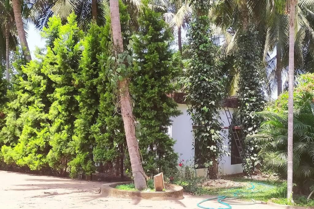 Runnin Airport - Homestay Gurpur Екстериор снимка