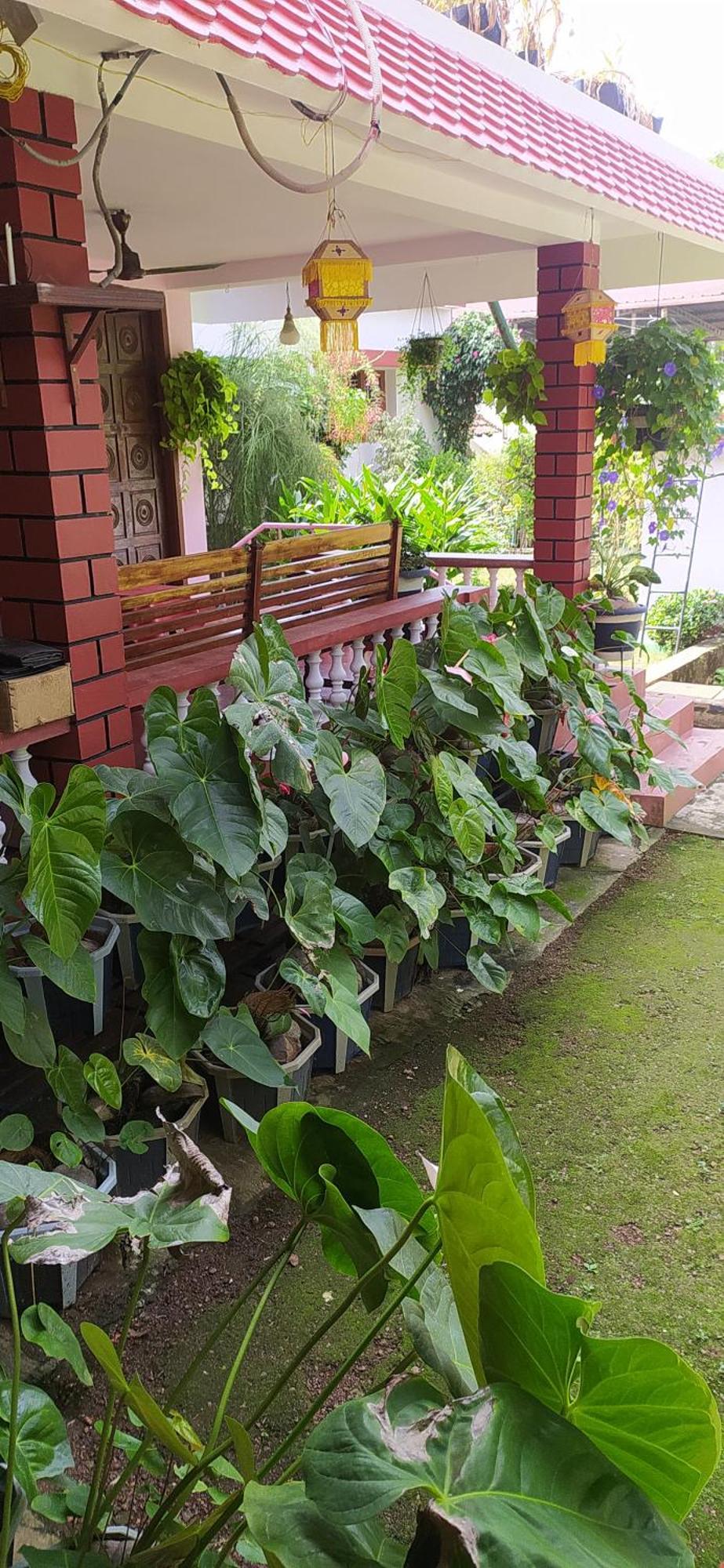 Runnin Airport - Homestay Gurpur Екстериор снимка